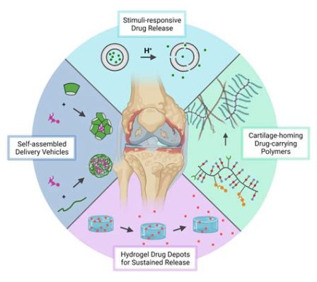 Dextran: A Biocompatible Marvel for Tissue Engineering and Drug Delivery Systems!